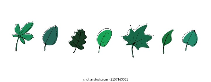 Summer leaves simple vector sketch drawing. Lineart element with color background