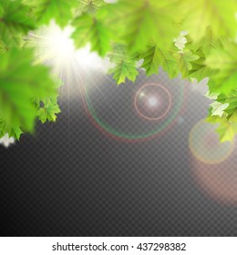 Summer leaves template on transparent background. EPS 10 vector file included