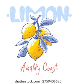 Summer lemon tshirt print. Mediterranean hand drawnin vector. Italian Amalfi Coast or Capri poster. Fresh Lenonade sketch illustration. Italian summer travel wedding stationery, invintation