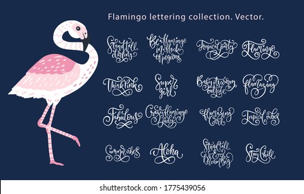 Summer lettering flamingo girly vector set. Calligraphy quote collection. Perfect for tshirt print - flamazing girl, think pink, summer party, super girl.
