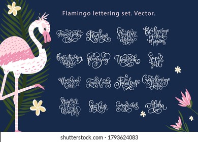 Summer lettering flamingo vector set. Summertime calligraphy quote collection. Perfect for girls tshirt print. Fabulous, aloha, stay chill and other holiday text templates.