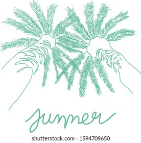 Summer - line art drawing.