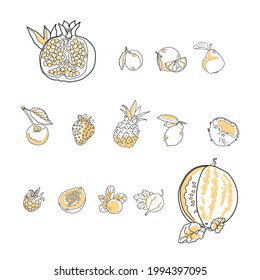 Summer line fruits vector set