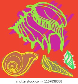 Summer lovely kit animal shell multicolored sea.