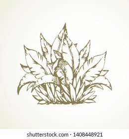 Summer lush tree twig on white sand ground. Freehand outline black ink hand drawn eco logo emblem pictogram design sketchy in retro art doodle engraved style pen on paper space for text. Closeup view