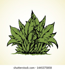 Summer lush tree twig on white sand ground. Freehand outline black ink hand drawn eco logo emblem pictogram design sketchy in retro art doodle engraved style pen on paper space for text. Closeup view