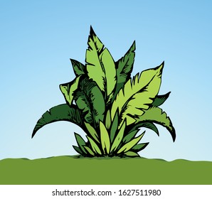 Summer lush tree twig on white sand ground. Freehand outline black ink hand drawn eco logo emblem pictogram design sketchy in retro art doodle engraved style pen on paper space for text. Closeup view