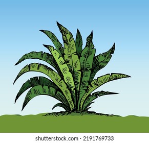 Summer lush tree twig on white sand ground. Freehand outline black ink hand drawn eco logo emblem pictogram design sketchy in retro art doodle engraved style pen on paper space for text. Closeup view