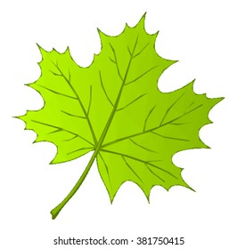 Summer Maple Leaf Isolated Nature Symbol, Polygonal Low Poly Design. Vector