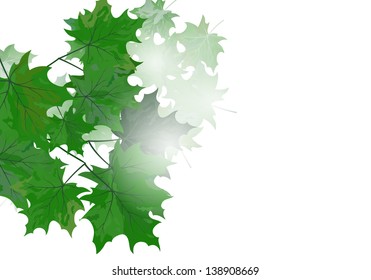 Summer maple leaves. EPS 10 vector illustration with transparency and meshes.