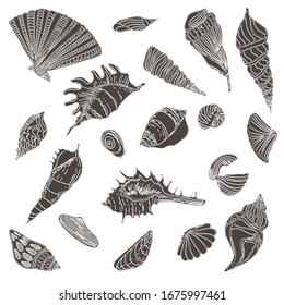 Summer, marine black and white set with shells, pearls, snail. Hand-made graphics of marine subjects, treasures of the ocean, sand, sea. beautiful shells of different shapes. For the design