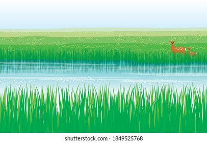 Sommermarsch und Hirsche, Elternteil und Kind