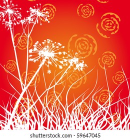Summer meadow