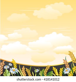 Summer meadow. Agricultural background. Wheat Ears and Camomile Flowers. Yellow sky with clouds.