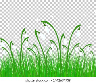 Sommer-Wiese-Hintergrund. EPS10 Vektorgrafik ohne Transparenz.