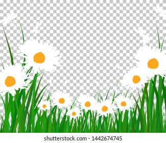Summer meadow background. EPS 10 vector illustration without transparency.