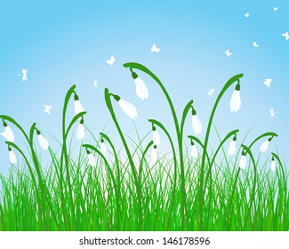 Summer meadow background. EPS 10 vector illustration without transparency.