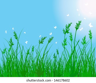 Summer meadow background. EPS 10 vector illustration without transparency.