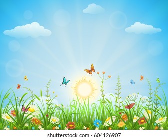 Summer meadow background with flowers, butterflies and green grass