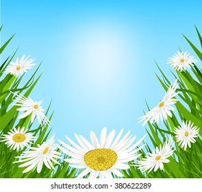 Summer meadow background with white daisy flowers and butterflies