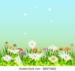 Summer meadow background with white daisy flowers