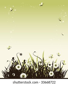 Summer meadow beautiful