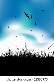 Summer meadow and birds in sky, black silhouette