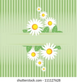 Summer meadow. Camomile frame