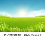 Summer meadow field. Nature background with sun, sunny rays, green grass landscape, trees, clouds, sky. Farmland scene. Vector illustration