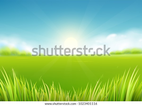 夏の牧草地 自然の背景に日 日差し 緑の草の風景 木 雲 空 農地の風景 ベクターイラスト のベクター画像素材 ロイヤリティフリー