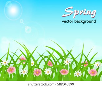 Summer meadow with flowers