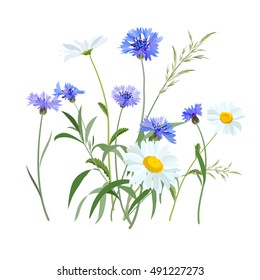 Flores praderas de verano. Cornflower y daisy