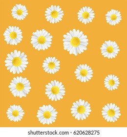 Summer meadow flowers. Illustration with chamomile. Summer floral orange background with white flowers.