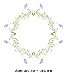Summer meadow flowers. Lavender