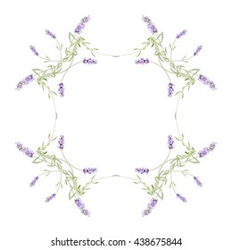 Summer meadow flowers. Lavender