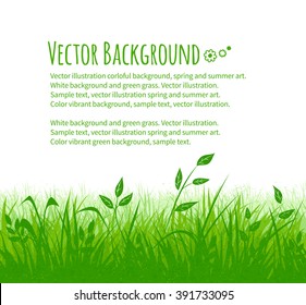 Summer meadow grunge vector background with green grass and leaves.