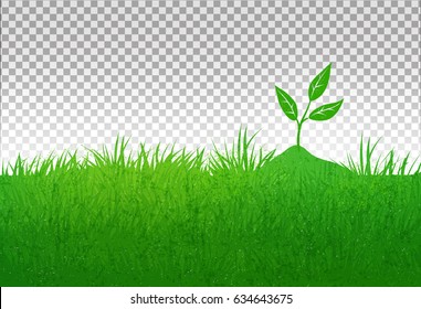 Summer meadow grunge vector illustration with green grass and growing sprout on transparent background.