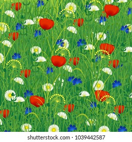 Summer meadow with herbs and flowers - poppy, chamomile, cornflower. Colorful background. Concept summer, nature, freshness