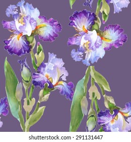 Summer meadow iris flowers watercolor seamless pattern on purple background vector illustration