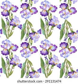 Summer meadow iris flowers watercolor seamless pattern on white background vector illustration