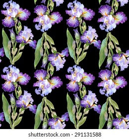 Summer meadow iris flowers watercolor seamless pattern on black background vector illustration