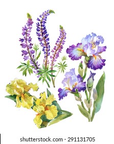 Watercolor Floral Scene Stock Illustrations Images - 