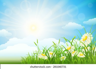 Summer meadow landscape with green grass, flowers, sky and sun