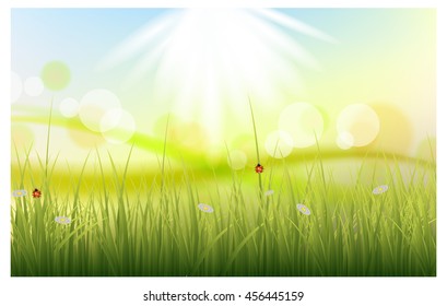 Summer meadow landscape with green grass, flowers and blue sky