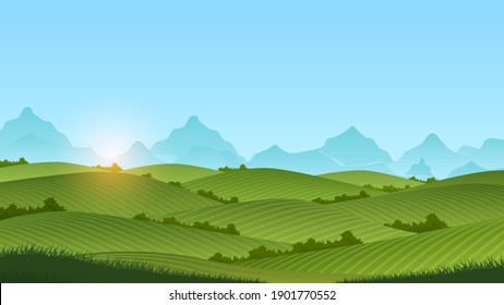 Summer meadow landscape vector Illustration with green grass and blue sky. Can be used for traveling, summer outdoor recreation and vacationor farming industry concepts.