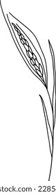 Summer meadow line art wildflowers, herbs and stems. Flowers and leaves.