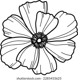 Summer meadow line art wildflowers, herbs and stems. Flowers and leaves.