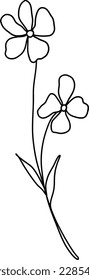 Summer meadow line art wildflowers, herbs and stems. Flowers and leaves.