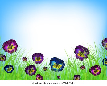 summer meadow with pansy