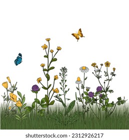 Summer meadow plants and insects. Colorful wildflowers, bumblebees and butterflies on a white background. Floral natural pattern vector flat illustration.
Formats Vector images